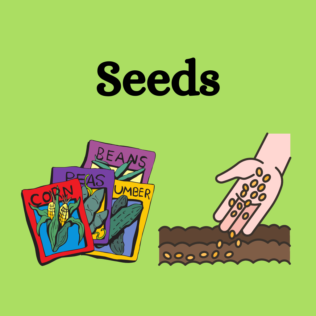 Seeds