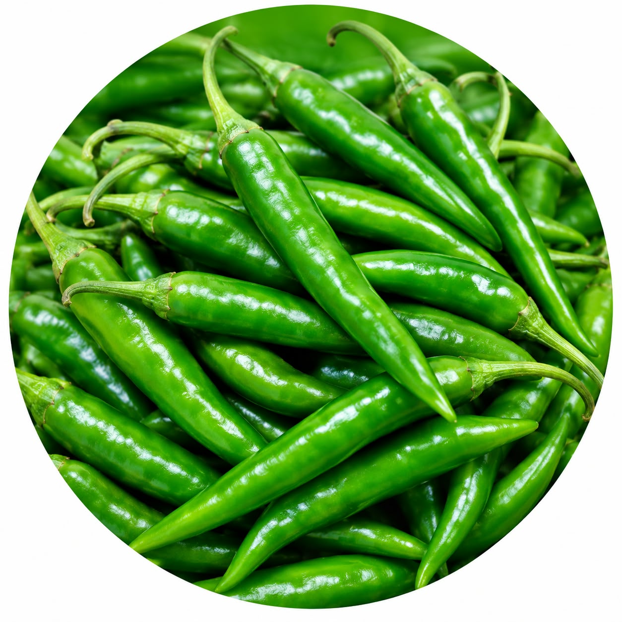 Chilli