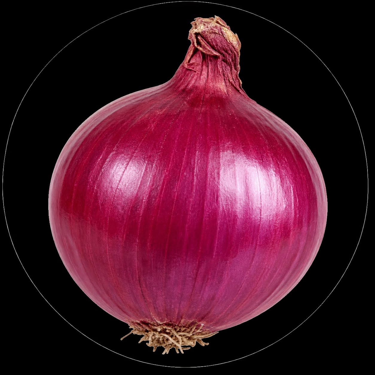 Onion