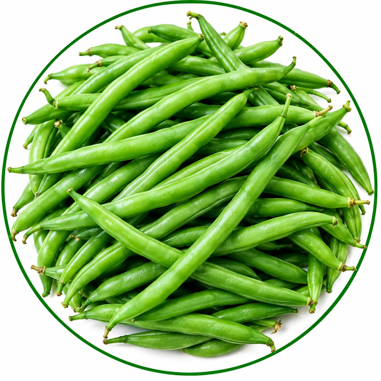 Beans